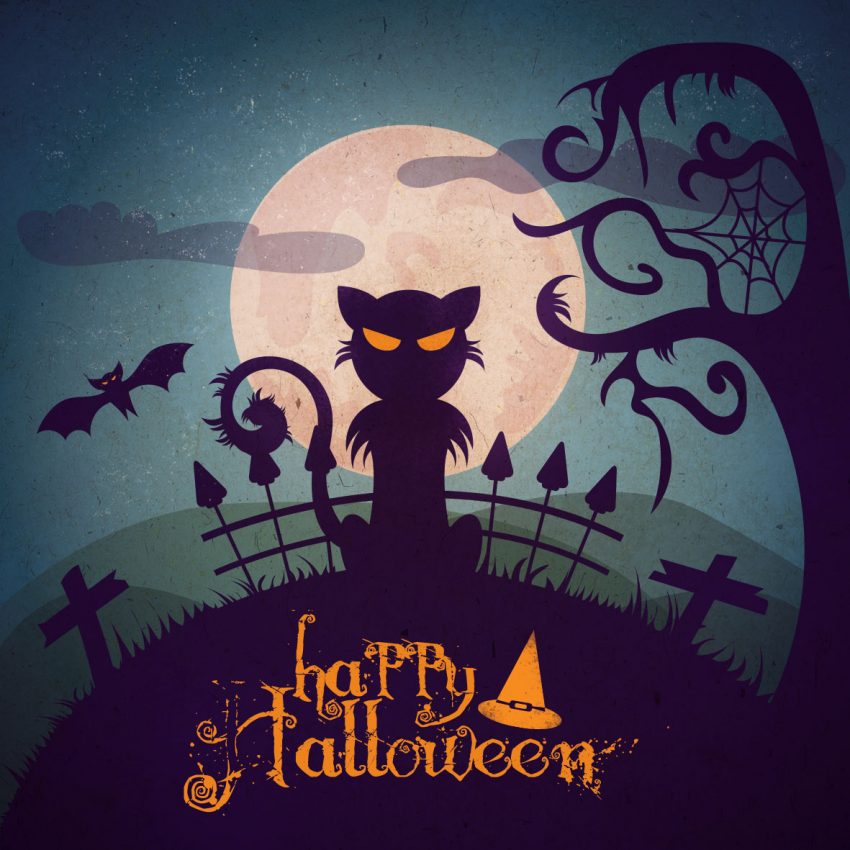 tuto chat vectoriel illustrator halloween