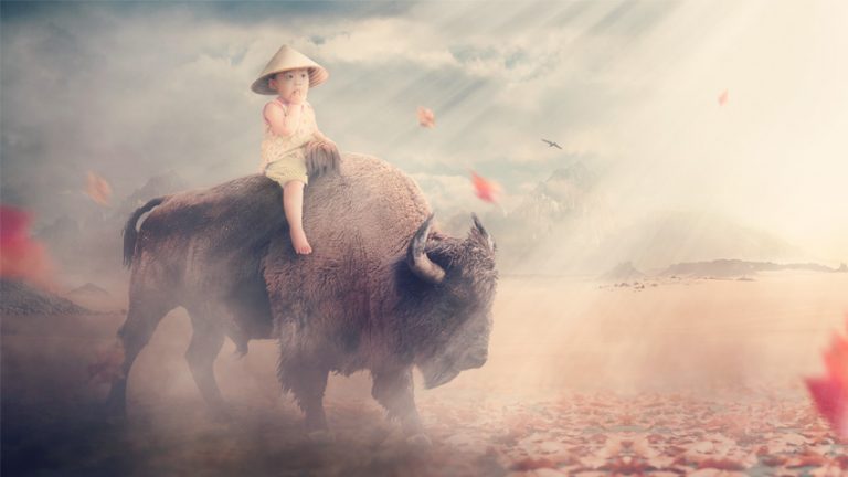 tuto photoshop photo manipulation bison